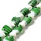 Handmade Lampwork Beads Strands, Fish, Green, 20~21x12~12.5x7.5~10.5mm, Hole: 1.2mm, about 20pcs/strand, 16.26 inch(41.3cm)