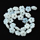 Opalite бисер пряди G-H023-B15-01-3