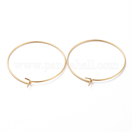Фурнитура для сережек-колец из нержавеющей стали 316 STAS-J025-01D-G-1