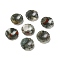 Natural Bloodstone Worry Stones, Flower Shape, 37.5~38x38x7~7.5mm