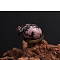Natural Rhodonite Egg Figurines Statues for Home Office Desktop Decoration, 30x20mm