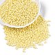 Выпечка краска стеклянные бусины SEED-T006-03B-3