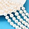Natural Cultured Freshwater Pearl Beads Strands, Two Sides Polished, Grade 3A, Old Lace, 10~11mm, Hole: 0.6mm, about 36~38pcs/strand, 13.70