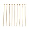 304 Stainless Steel Head Pins, Ion Plating(IP), Real 18K Gold Plated, 40mm, Head: 2mm