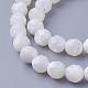 Нити бусин из ракушек SSHEL-E571-38-8mm-1