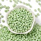 Выпечка краска стеклянные бусины SEED-C003-02D-2