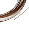 5M Aluminum Wire, Flat, for DIY Craft, Coconut Brown, 1x0.3mm, about 16.40 Feet(5m)/Roll