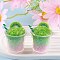 Luminous Resin Pendants, Ice Fruit Drink Charms, Imitation Food, Glow in Dark, Lime, 35x44mm