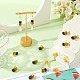 12шт ручной работы бусины лэмпворк LAMP-SC0001-34-4