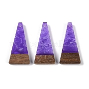 Подвески из смолы и дерева WOOD-F015-03E