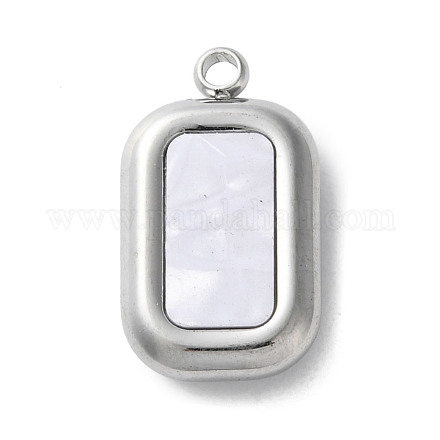 Подвески из акрила из нержавеющей стали 304 STAS-M091-02C-P-1