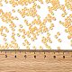 12/0 прозрачное стекло бисер SEED-F003-03C-01-4