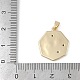 Латунь стекло кулоны RGLA-M002-03G-3