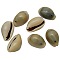 Natural Cowrie Shell Pendants, Shell Shaped Charms, Seashell Color, 20~23x14~15x10.5~11.5mm, Hole: 2mm, about 250pcs/500g