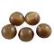 Cat Eye Glass Cabochons, Half Round/Dome, Brown, about 20mm in diameter, 3~5mm thick