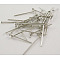 Brass Flat Head Pins, Cadmium Free & Nickel Free & Lead Free, Platinum Color, Size:  about 0.75~0.8mm thick(20 Gauge), 2.0cm long. about 4850pcs/500g, Head: 1.8mm