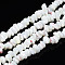 Natural Freshwater Shell Beads Strands, Nuggets Chips, White, 2.5~5.5x6~17.5x5~8mm, Hole: 0.8mm, about 92~112pcs/strand, 13.98 inch~16.14 inch(35.5~41cm)