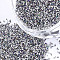 FGB Plated Glass Seed Beads, For Nail Art Decoration Accessories, No Hole/Undrilled, Round, Colorful, 0.6~0.8mm, about 450g/bag