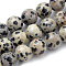 Natural Dalmatian Jasper Beads Strands, Round, 6mm, Hole: 1mm, about 58~60pcs/strand, 15 inch