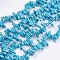 Dyed Natural Howlite Nuggets Beads Strands, Dark Turquoise, 12~20x6~10x3~10mm, Hole: 1mm, about 104pcs/strand, 15.7 inch