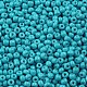 Выпечка краска стеклянные бусины SEED-S003-K10-2