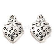 Сплавочные подвески тибетского стиля FIND-C043-017AS