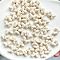 Synthetic Howlite Beads, for Jewelry Making, Floral White, Butterfly, 10x14x6mm, Hole: 1.8mm