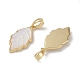 Латунные подвески из ракушек KK-G497-06G-2