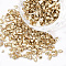 FGB Plated Glass Seed Beads, For Nail Art Decoration Accessories, No Hole/Undrilled, Chips, Wheat, 2.0~5.0mm, about 450g/bag