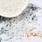 Glass Seed Beads, Ceylon, Round Hole, Round, WhiteSmoke, 4x3mm, Hole: 1.4mm, 7650pcs/pound