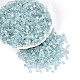 Прозрачные внутри цветные стеклянные бусины SEED-T007-13M-1-3