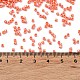 Выпечка краска стеклянные бусины SEED-S042-15B-29-4