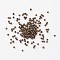 Iron Spacer Beads, Cadmium Free & Nickel Free & Lead Free, Antique Bronze, about 2mm in diameter, hole: 0.8mm