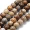 Natural Fossil Coral Beads Strands, Round, 6mm, Hole: 0.8mm, about 62pcs/strand, 15 inch