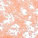 Стеклянные бусины прозрачных цветов SEED-H003-01B-3