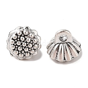 Сплавочные подвески тибетского стиля FIND-C060-039AS