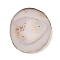 Natural Agate Coaster, Agate Slices, with Brass Edage, Nugget, Gainsboro, 85~97x71~78x4~6mm