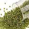 TOHO Round Seed Beads, Japanese Seed Beads, (996) Gilt Lined AB Peridot, 11/0, 2.2mm, Hole: 0.8mm, about 5555pcs/50g