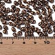Цвета люстр чешский стеклянный бисер SEED-N004-005-E02-6
