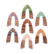 Resin and Walnut Wood Pendants RESI-T060-19M