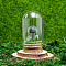 Glass Dome Cover with Natural Moss Agate Mushroom Inside, Cloche Bell Jar Terrarium with Cork Base, Micro Landscape Garden Decoration Accessories, 30x55mm