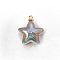 10Pcs UV Plated Iridescent Opaque Resin Pendants, with Glitter Powder & Golden Tone Loop, Star, Rosy Brown, 24mm