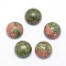 Natural Unakite Cabochons, Half Round, 12x5~6mm