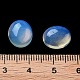 Opalite кабошоны G-G145-01A-32-3