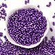 Выпечка краска стеклянные бусины SEED-L011-12A-04-2