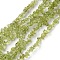Natural Peridot Beads Strands, Chip, 1.5~4.5x3~13x2.5~8mm, Hole: 0.6mm, 30.94~31.97 inch(78.6~81.2cm)