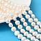 Natural Cultured Freshwater Pearl Beads Strands, Two Sides Polished, Grade 5A, Old Lace, 10~11mm, Hole: 0.6mm, about 36~38pcs/strand, 13.70