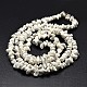 Чип естественно Howlite бисер пряди X-G-N0134-11-3