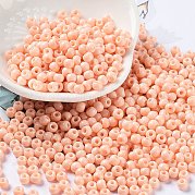 Выпечка краска стеклянные бусины SEED-H002-I-A519