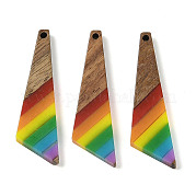 Подвески Pride на тему радуги из смолы и орехового дерева WOOD-K012-08B